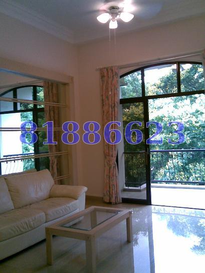 Tanglin Park (D10), Condominium #63291032